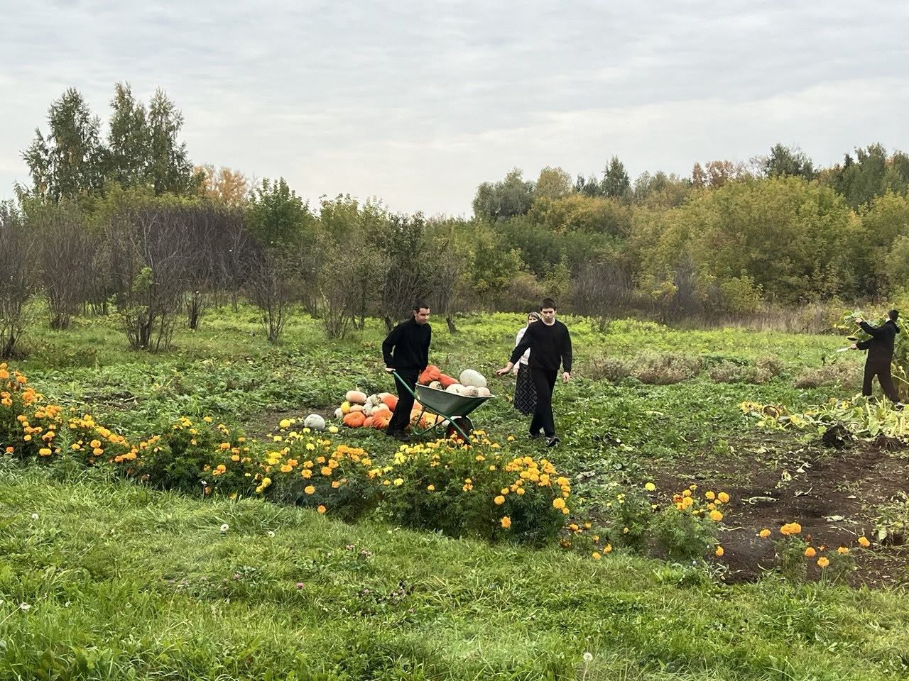 Ученики Сармановского района подвели итоги летних трудов