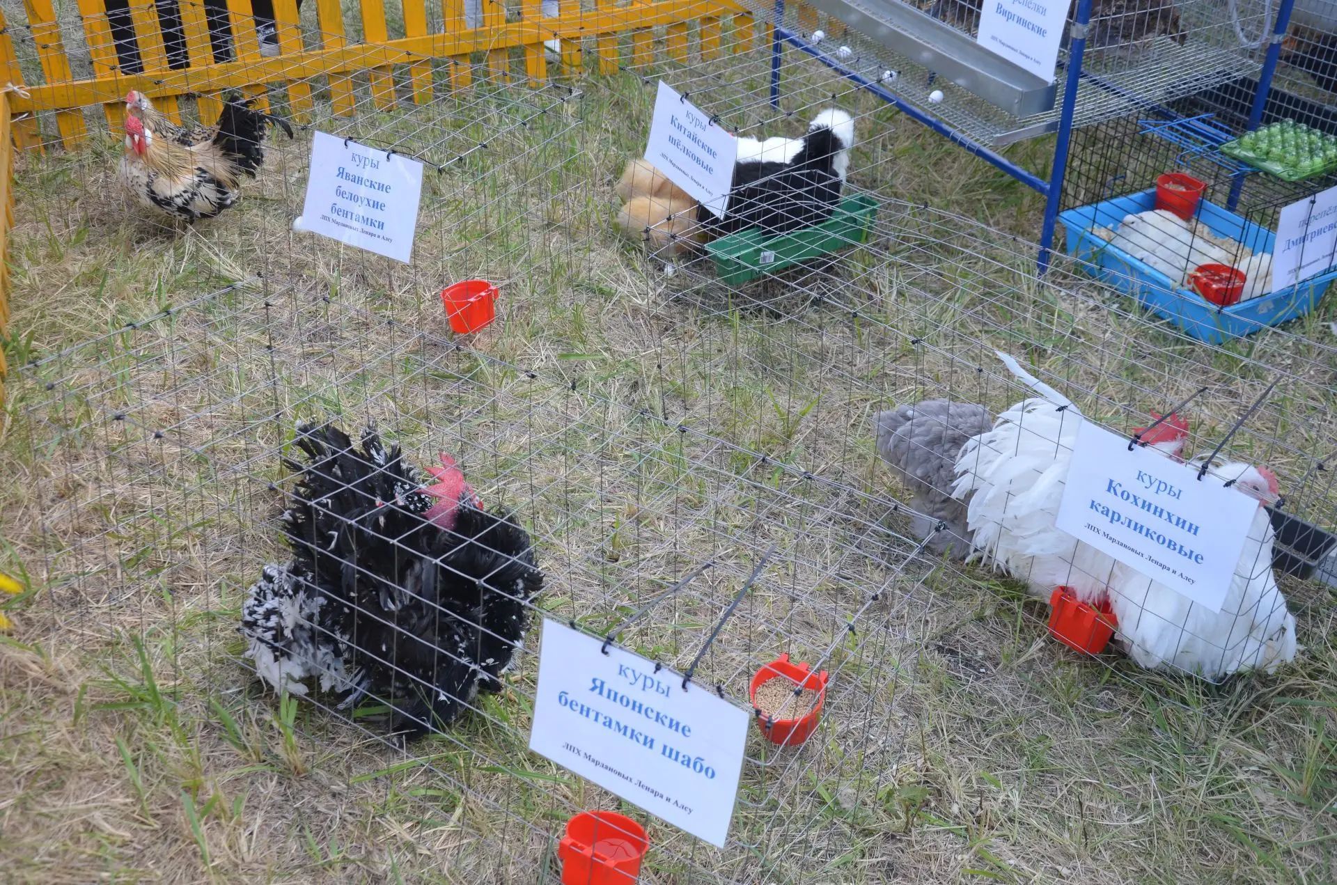 Районга Татарстан Рәисе Рөстәм Миңнеханов килде
