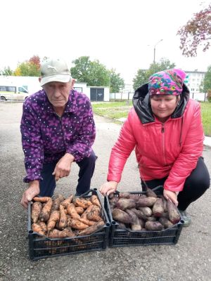 В Джалильском доме-интернате собрали урожай моркови и свёклы