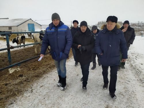 Передовые животноводы района получили награды