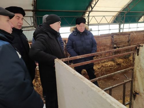 Передовые животноводы района получили награды