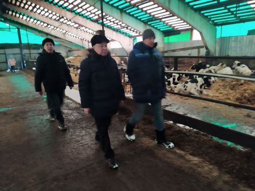 Передовые животноводы района получили награды