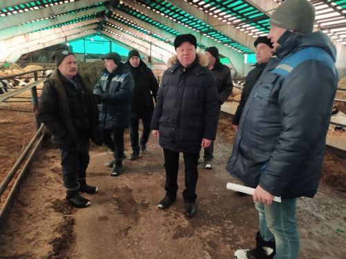 Передовые животноводы района получили награды