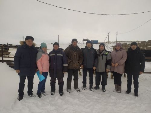 Передовые животноводы района получили награды