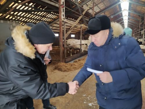 Передовые животноводы района получили награды