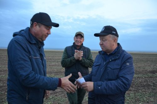 В районе идет уборка сахарной свеклы
