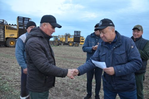 В районе идет уборка сахарной свеклы