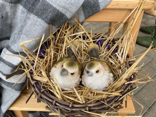Җәлил осталары татар курчаклары бәйли