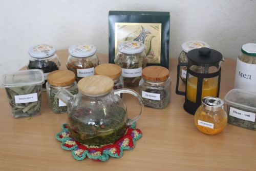 Сарман үзәк китапханәсендә мәгълүмат сәгате оештырылды