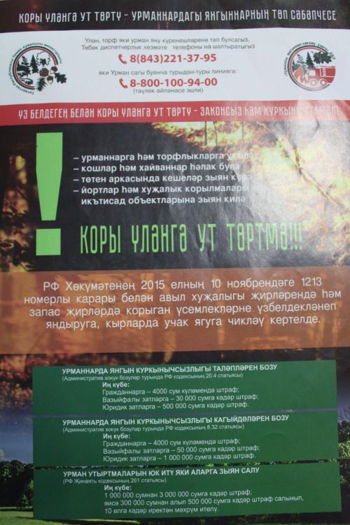 Школьники узнали о правилах пожарной безопасности в лесу
