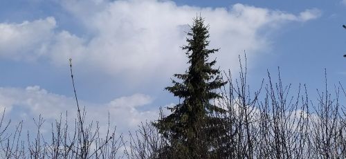 Районда яңгырлар явуы ихтимал