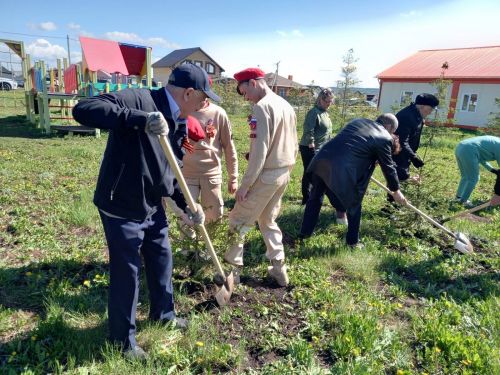 В парке 100-летия ТАССР по традиции посадили ели