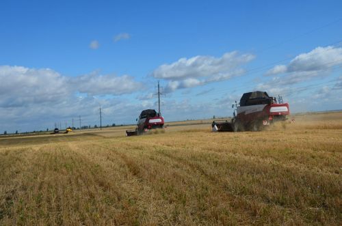 Уракның беренче җиңүчеләре ачыкланды