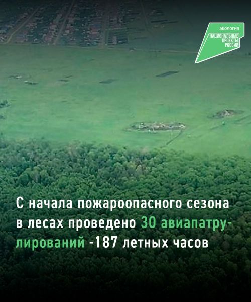 Янгыннар куркычы сезоны башыннан Татарстан урманнарында 30 авиапатруль күзәтүе үткәрелгән
