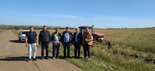 В районе наградили передовых комбайнеров