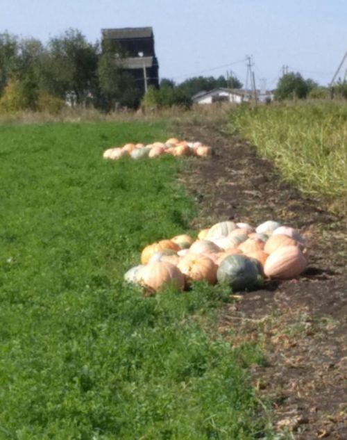 КабакЧЫК унынчы катнашучы