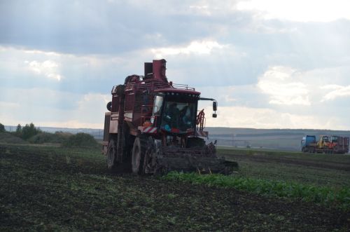 В районе наградили передовиков свеклоуборочной кампании
