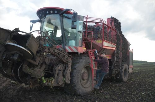 В районе наградили передовиков свеклоуборочной кампании
