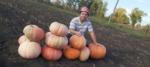 “КабакЧЫК” конкурсының чирттагы катнашучысы – Сөлек авылында яшәүче Рәмилә Әгъләмова