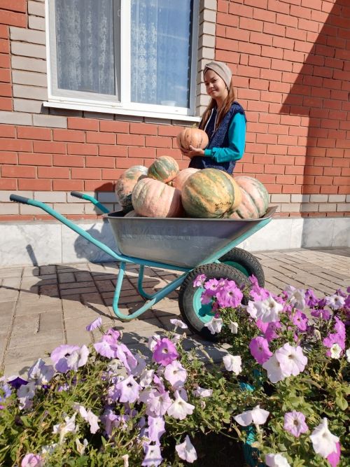 «КабакЧЫК» бәйгесенең чираттагы катнашучысы —  Алия Мәүләвиева