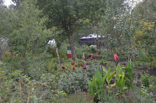 Рангазар авылында яшәүче Мәсхүт Сафин үзе ясаган күлдә балык үрчетә