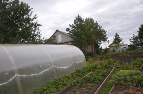 Рангазар авылында яшәүче Мәсхүт Сафин үзе ясаган күлдә балык үрчетә