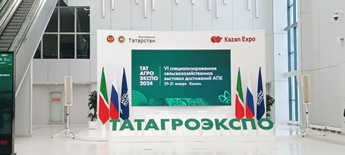 Район делегациясе Казанга китте