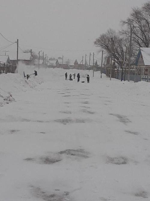 Сөлек балаларының ялы күңелле үтә