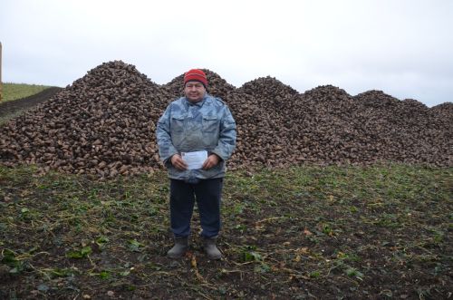 В районе наградили передовиков свеклоуборочной кампании