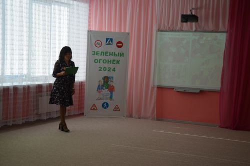 В районе подвели итоги муниципального этапа конкурса «Зеленый огонек-2024»