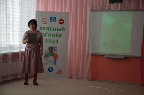 В районе подвели итоги муниципального этапа конкурса «Зеленый огонек-2024»