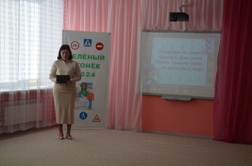 В районе подвели итоги муниципального этапа конкурса «Зеленый огонек-2024»