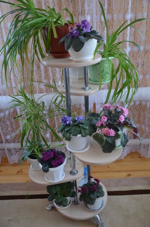 Мөнирә апаның 95 яшьлек юбилее икеләтә истәлекле