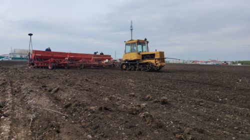 Сармановский аграрный колледж приступил к посеву