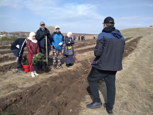 Учащиеся Лешев-Тамакского и Джалильских школ посадили деревья