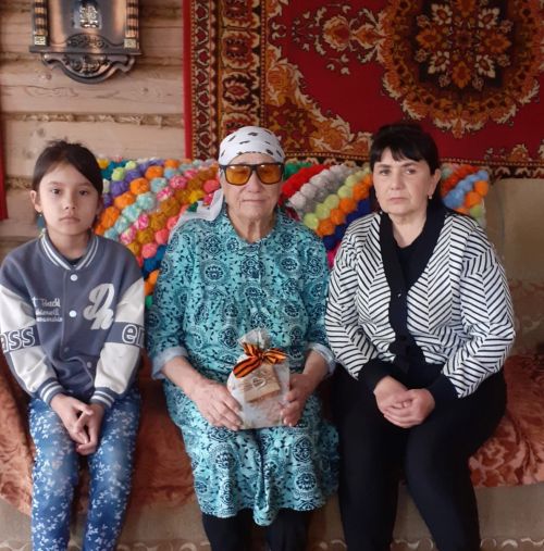 Сөлек балалары ветераннар белән очраштылар