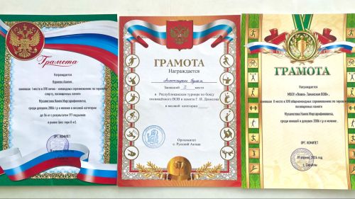 В селе Сарайлы состоялось Первенство района по гиревому спорту