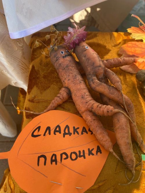 Сарманда табигать хәзинәләре ярминкәсе узды