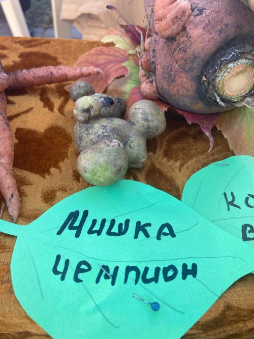 Сарманда табигать хәзинәләре ярминкәсе узды