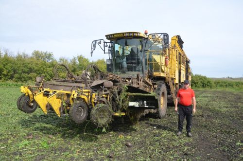 В районе наградили передовиков свеклоуборочной кампании