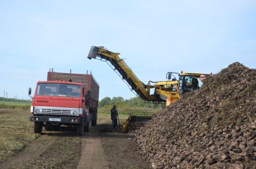 В районе наградили передовиков свеклоуборочной кампании