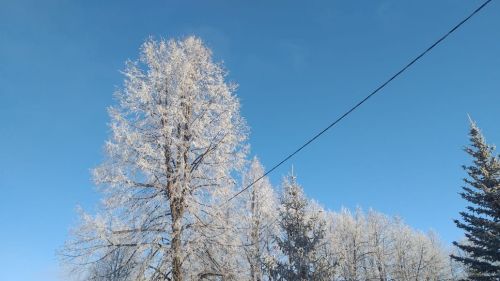 Прогноз погоды на 2 января 2025 года