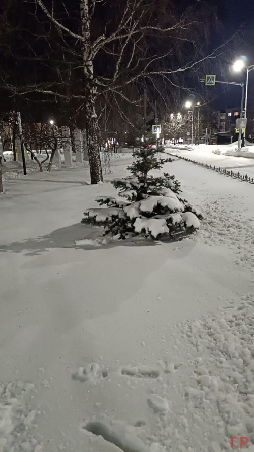 Прогноз погоды на 14 января 2025 года