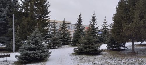 Прогноз погоды на 15 января 2025 года