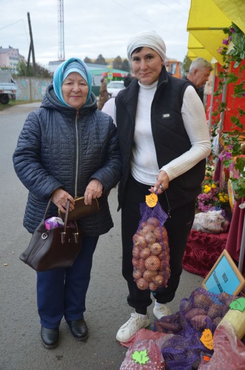 Сарманда ярминкә гөрләде