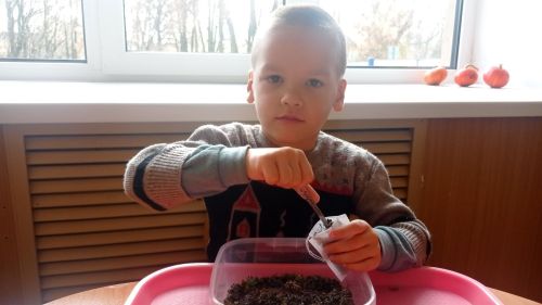 Күтәмәледән кечкенә Рамил батыр әтисенә үлән чәйләре әзерли