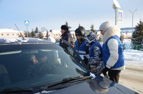 Водителей и пешеходов в районе поздравили с наступающим Новым годом