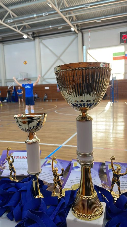 VII Чемпионат Сарманово по волейболу ко Дню защитника Отечества 2025: итоги, победители, фото