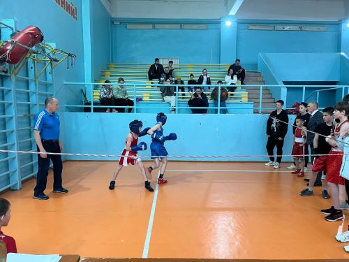 В Джалиле провели турнир по боксу