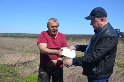 В районе наградили передовиков посева